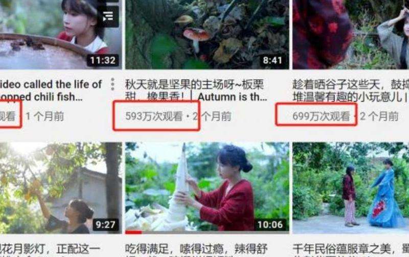 Eminem在脸书上的粉丝数量分析