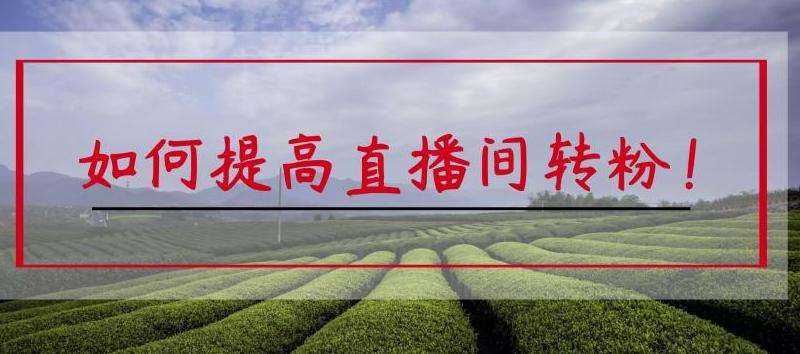 FB广告转化率与粉丝数的关系分析