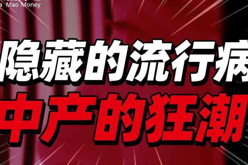 FB日本JZ粉丝的成本价解析